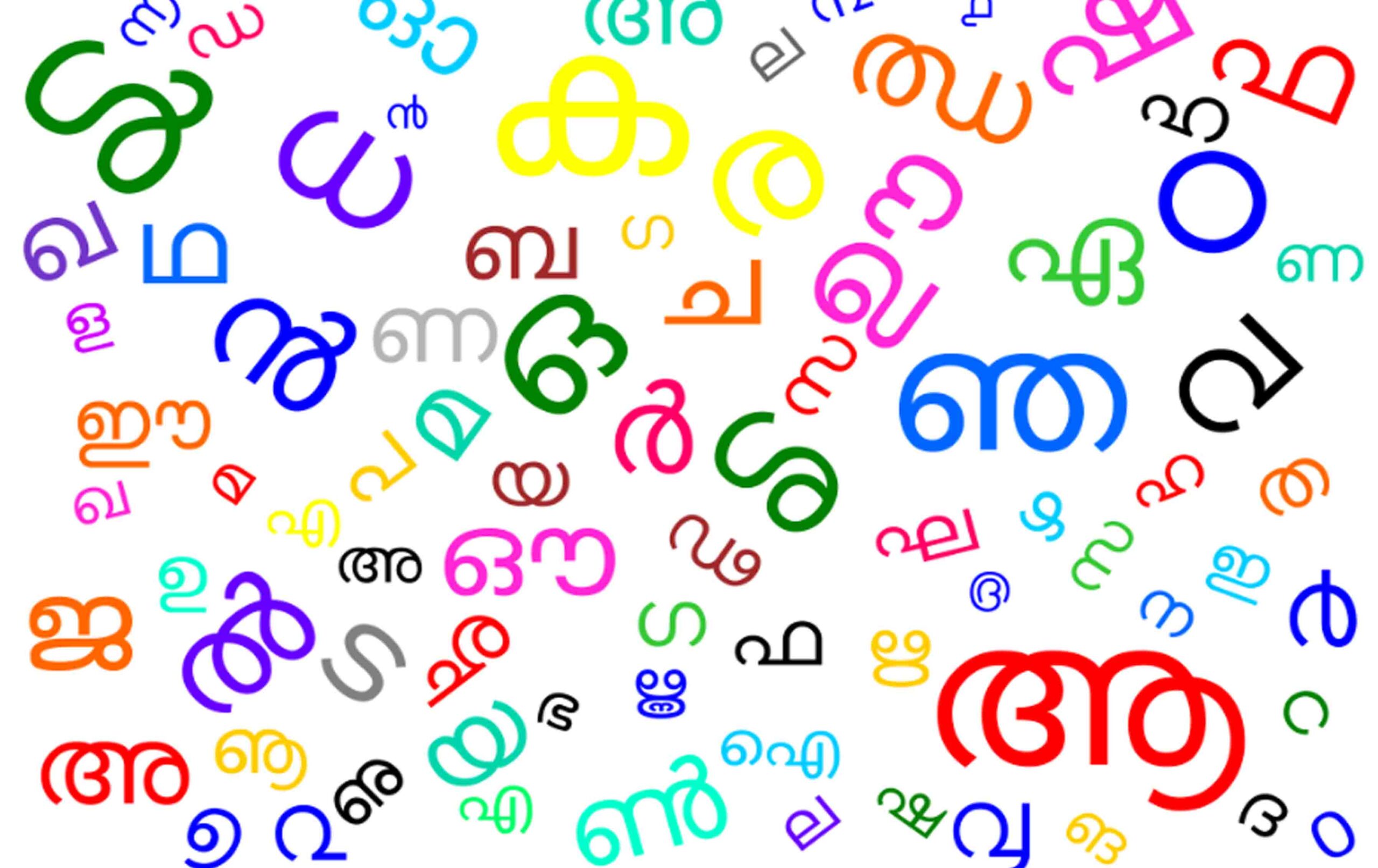 ഭാഷ – ബിന്ദു ടിജി 